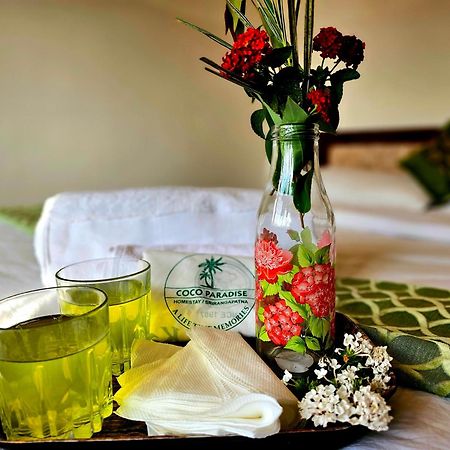 Coco Paradise Homestay Shrirangapattana Екстер'єр фото